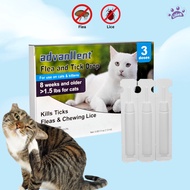 Advanllent For Dogs Cats Fleas and Ticks Treatment Veterinarian Ubat Kutu Kucing Recommendations Fro