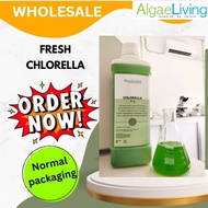 (WHOLESALE) Algae Living ALCV Fresh Chlorella Vulgaris Green Water For Aquaculture
