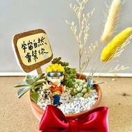 台中多肉組盆 多肉植物 日式枯山水 火影忍者 漩渦 鳴人 Naruto