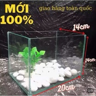 Mini fish tank 20x14x14