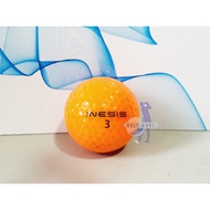 INESIS Original Used Golf Ball (A to B Grade) / Bola Golf Terpakai Asal