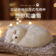 Cloud Girlfriend's Gifts Girlfriends Gifts Girlfriends Birthday Gifts Gifts Gifts for Girls Boyfrien