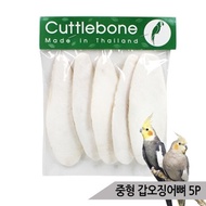 Natural cuttlefish bone medium size 5P parrot snack calcium beak strengthening