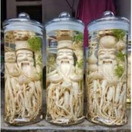 Glass Jars 6 Liters, 12 Liters, 15 Liters, 19 Liters, 25 Liters