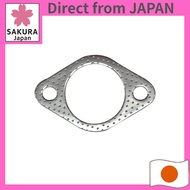 Flange gasket #53