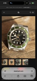 Steel Reef precision bezel for tudor black bay 54 green arbour