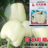 Color Pepper Seeds Bell Pepper Seeds Big Beet Pepper Seeds Vegetable Pepper Seeds Vegetable Seeds Wh