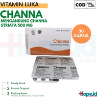 Channa Albumin Capsules Wound Healing Supplement