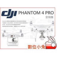 數位小兔【DJI 大疆 Phantom 4 Pro+ 空拍機】內建螢幕 公司貨 全方位避障 飛行精靈鷹眼 P4P