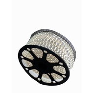 LED Strip Lights SMD 5050 Outdoor Decoration