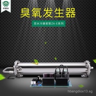 Large Water-Cooled Ozone Generator Water Treatment Enamel Ozone Tube50g High Concentration Ozone Dis