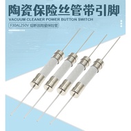 MO Preferred 6 * 30mm Ceramic Fuse 250V F0.5/30AL Quick Fuse 6X30 with Lead Pin Ceramic Fuse * mojog