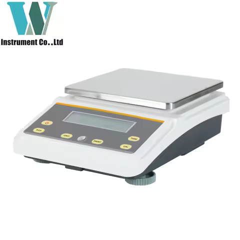 3kg 5kg 6kg 100mg Accuracy 6000g 0.1g Precision Portion Control Weight Scale Gram Digital Weighing B