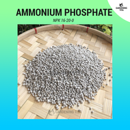 (250G) Ammonium Phosphate Fertilizer (NPK 16-20-0)
