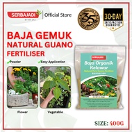 Serbajadi Natural Pure Guano Fertiliser Bat Dung Fertiliser Baja Tahi Kelawar Organik 鸟粪肥料 N5 P18 K5