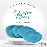 Ready stock blossom plate turqoise 4PCS/PINGGAN TUPPERWARE/GIFT PERPISAHAN/HADIAH TUPPERWARE