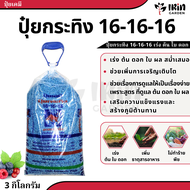 ปุ๋ย 16 16 16 ปุ๋ยเคมี ตรา กระทิง ลูกโลก สูตร เร่งต้น เร่งดอก เร่งผล ปุ๋ยเร่งดอก ปุ๋ยเร่งผล ปุ๋ยทำดอ