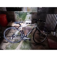 現貨 捷安特 出清 GIANT FCR 藍白色 頂級高規 30段變速 平把公路車 前叉碳纖維 車架鋁合金 S號需自行整理