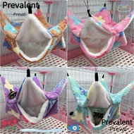 PREVALENT Pet Hammock Fashion Pet Supplies Ferret Rat Squirrel Beds