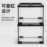 Climbing Pet Tank Full Transparent Ecological Tank Breeding Box Box Rainforest Tank Fish Gecko Turtl