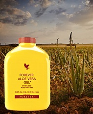 ALOE VERA GEL FOREVER ORIGINAL (1 LITRE)