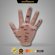 Model akupuntur tangan point tepat [ PERCUMA 5 KOTAK AKUPUNTUR UNTUK BELAJAR ]