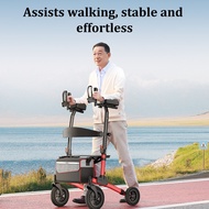 Ziivievs 3 in 1 Walker & Wheelchair, Lightweight Pushchair with Armrest, 47CM Seat Width, Easy to Fo