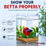 ANS Betta Competition Display Tank 13x12x19cm | Clear Betta Fish Display Tank with Lid