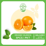 Nature2U Fresh Fruit  - Valencia Orange / Oren Valencia / 水橙