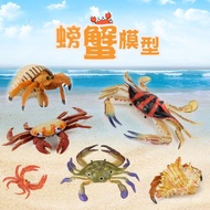 Simulation Crab Toys Children Cognitive Sea Life Model Hermit Crab King Crab Shuttle Crab Horseshoe 