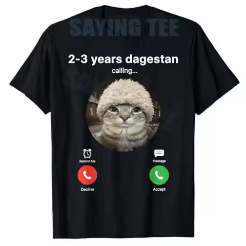 Send Him 2-3 Years To Dagestan Funny MMA Wrestling Meme T-Shirt Dagestan Is Calling Y2k Humor Graphi