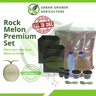 Plant your own Rock Melon at home (All in 1 set) Rock Melon Premium Set 日本网纹蜜瓜种植 Urban Grower