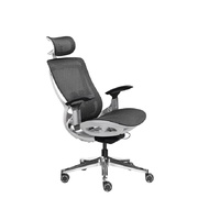 Bwell เก้าอี้เพื่อสุขภาพ รุ่น Bjorn สีเทา