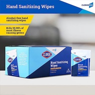 Clorox Pro Individually Wrapped Hand Wipes100 ct | Clorox Alcohol Free Wipes with BZK | Clorox Hand 
