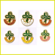△ ✑ ☬ GSP PINS (twinkler, star, junior, senior, cadet,troop leader pin, WORLD PIN, GSP LOGO PIN)