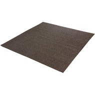 【Direct from Japan】Ikehiko Rug, Carpet, 3 Tatami Mat, Washable, Tuft-Style, Novel, Beige, Approx. 55