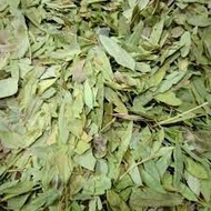 DRIED SENNA LEAF (DAUN POKOK SENNA UTK PERUBATAN/100G PER PACKET)