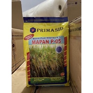 benih padi hibrida f1 mapan p-05 1kg bibit padi by primasid