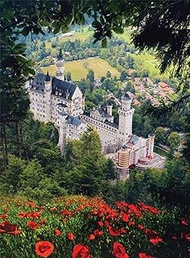 Buffalo Games - Schloss Neuschwanstein - 1000 Piece Jigsaw Puzzle for Adults Challenging Puzzle Perfect for Game Nights - Finished Size 26.75 x 19.75
