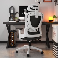 Ergonomic Office Chair with Adjustable Lumbar Support High Back