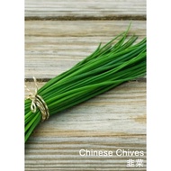 Chinese Chives Seeds