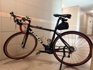 Giant SCR 公路車