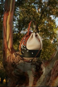 專門店購入Loewe宮崎駿合作款限量手袋My Neighbour Totoro