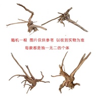 Aquarium Decoration Driftwood Tree Root Landscaping Wood Moss Tree Water Azalea Root Perch Root Bran