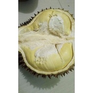 Durian Utuh Montong Palu Parigi 4Kg
