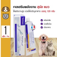 Virbac Nutri Plus Gel  สำหรับสุนัขและแมว (120 กรัม./หลอด) (เลขทะเบียนอาหารสัตว์ 0208560043)