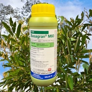 [ORIGINAL] 1L BASAGRAN M60 BASF HERBICIDE 37.0 + 6.2% RACUN RUMPAI RUMPUT/ KELADI AGAS SESUAI UTK ME