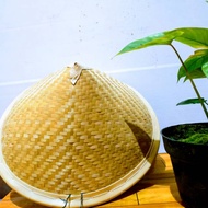Farmer's hat