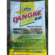 DANGKE 40wp 400 gram