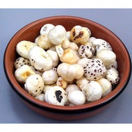 phool/sweet makhana roasted popped lotus seed prickly waterlily water lily seeds fox nut & gorgon nu